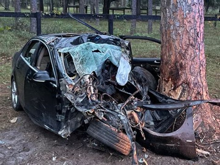 Charlbi Dean Car Accident: Cause Of Death, Funeral, Net Worth